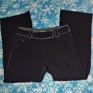 Ann Taylor Petites Wide Leg Velvet Margo Pants
